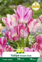 images/productimages/small/zn1593.jpg