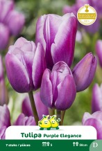 images/productimages/small/zn1597.jpg