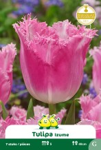 images/productimages/small/zn1598.jpg