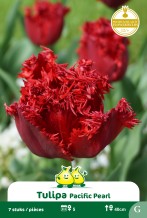 images/productimages/small/zn1599.jpg