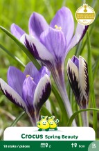 images/productimages/small/zn159w.jpg