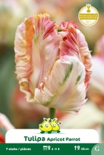images/productimages/small/zn1600.jpg