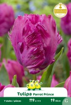 images/productimages/small/zn1607.jpg