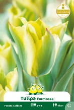 images/productimages/small/zn1610.jpg