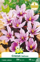 images/productimages/small/zn165w.jpg