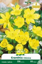 images/productimages/small/zn175w.jpg