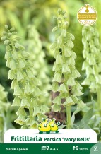 images/productimages/small/zn199w.jpg