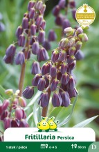 images/productimages/small/zn202w.jpg