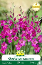 images/productimages/small/zn227w.jpg