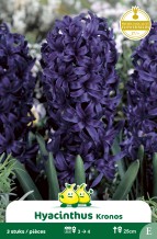 images/productimages/small/zn253w.jpg