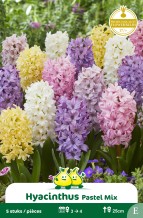 images/productimages/small/zn259w.jpg