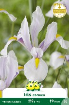 images/productimages/small/zn283w.jpg