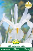 images/productimages/small/zn290w.jpg