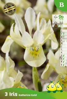 ZAKJES BOTANISCHE IRIS KATHARINE GOLD B