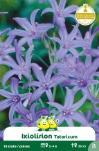 images/productimages/small/zn310w.jpg