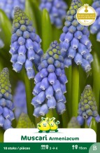 images/productimages/small/zn325w.jpg