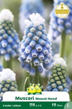 images/productimages/small/zn333w.jpg