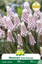 images/productimages/small/zn336w.jpg