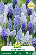 images/productimages/small/zn338w.jpg