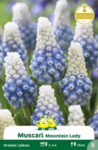 images/productimages/small/zn342w.jpg