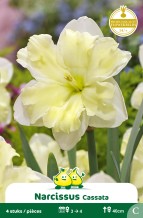 images/productimages/small/zn345w.jpg