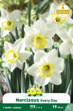 images/productimages/small/zn363w.jpg