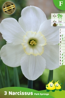 images/productimages/small/zn376.jpg