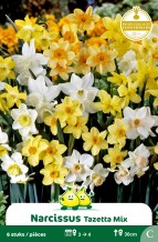 images/productimages/small/zn384w.jpg