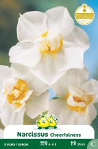images/productimages/small/zn385w.jpg
