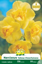 images/productimages/small/zn388w.jpg