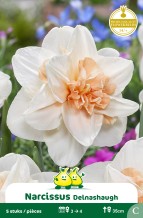 images/productimages/small/zn389w.jpg