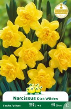 ZAKJES NARCIS DICK WILDEN
