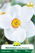 images/productimages/small/zn400w.jpg