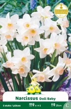 images/productimages/small/zn411w.jpg