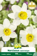 images/productimages/small/zn417w.jpg