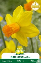 images/productimages/small/zn420w.jpg