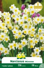 images/productimages/small/zn421w.jpg