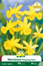 images/productimages/small/zn424w.jpg