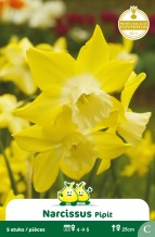 images/productimages/small/zn427w.jpg