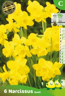 images/productimages/small/zn428.jpg