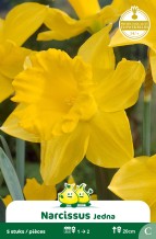 SACHET BOTANIQUE NARCIS  JEDNA C