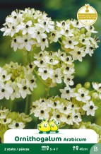 images/productimages/small/zn445w.jpg