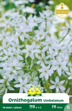 images/productimages/small/zn449w.jpg