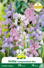 images/productimages/small/zn481w.jpg