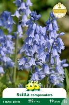 images/productimages/small/zn483w.jpg