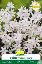 images/productimages/small/zn493w.jpg