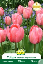 images/productimages/small/zn504.jpg