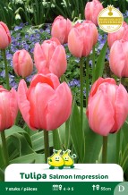 images/productimages/small/zn504w.jpg