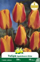 images/productimages/small/zn506w.jpg