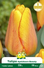 images/productimages/small/zn507w.jpg